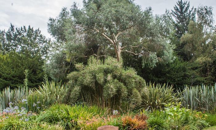 Treborth Botanic Garden